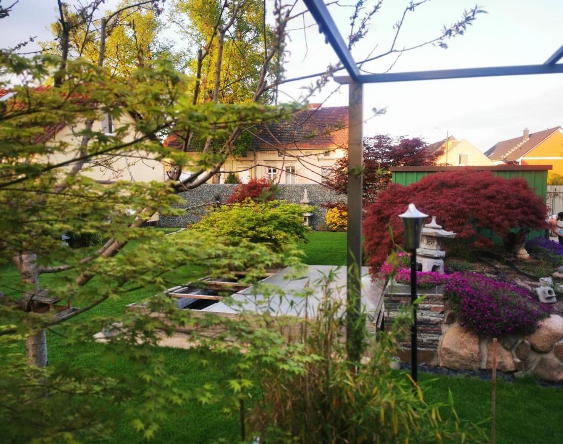 Haus Laila Villa Heidesee Kültér fotó